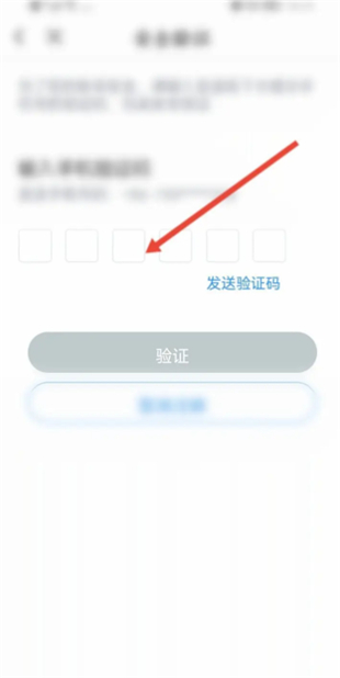 布鲁帝交友软件