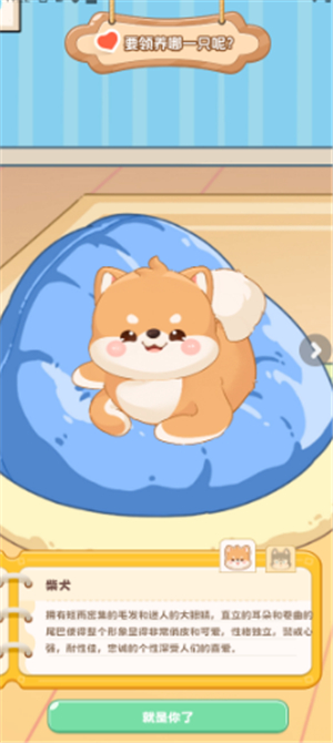 桌面汪手机版