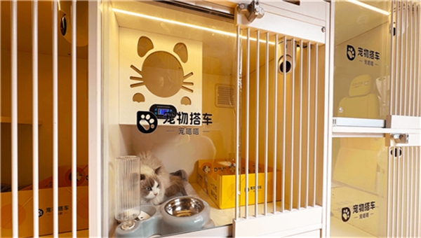 宠物搭车