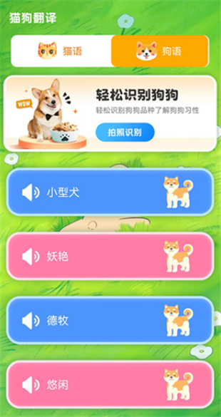 宠物猫咪翻译器