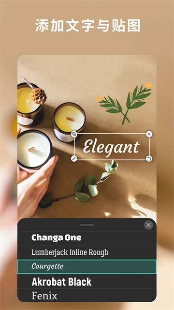 相片大师安卓版