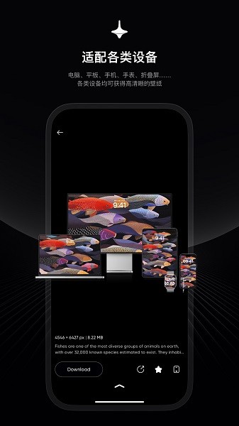 时空壁纸app安卓版