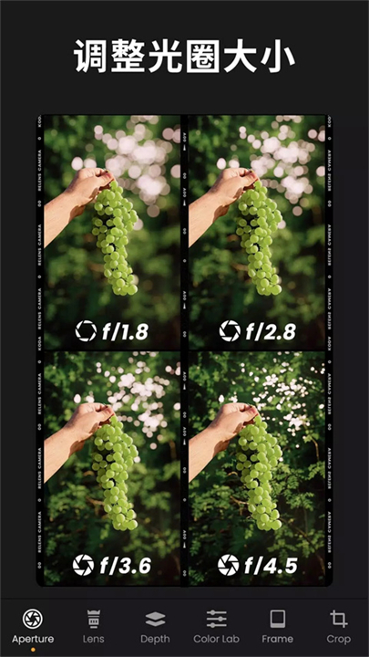 relens大光圈单反相机