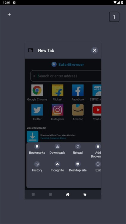 safari浏览器手机版