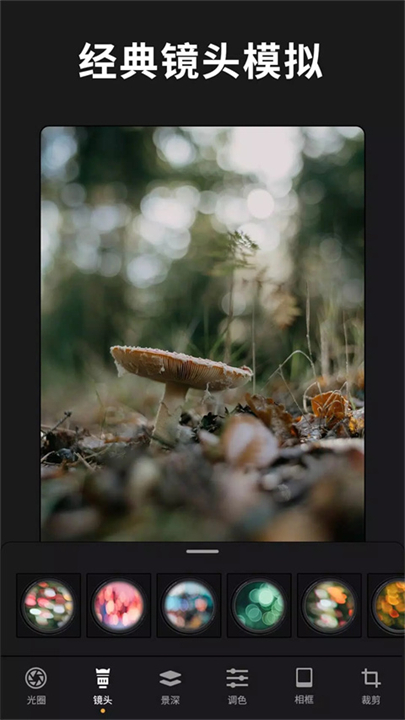 relens大光圈单反相机