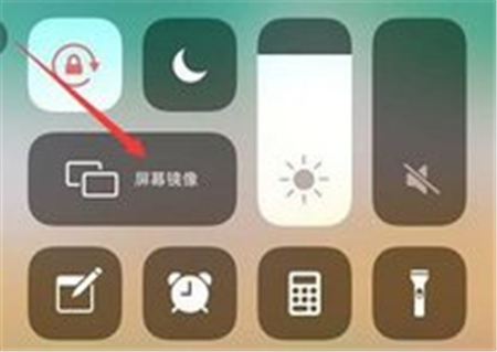 蓝狐影视2025