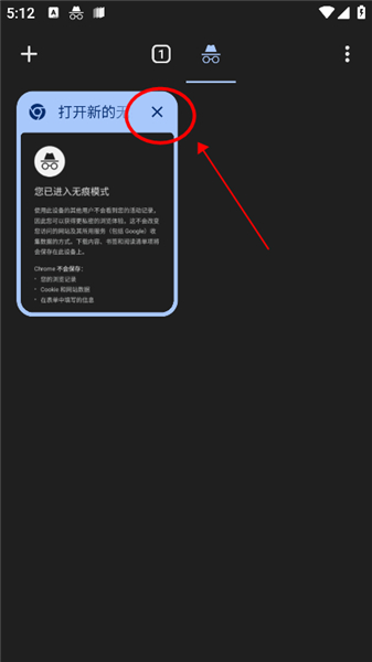 谷歌浏览器App下载