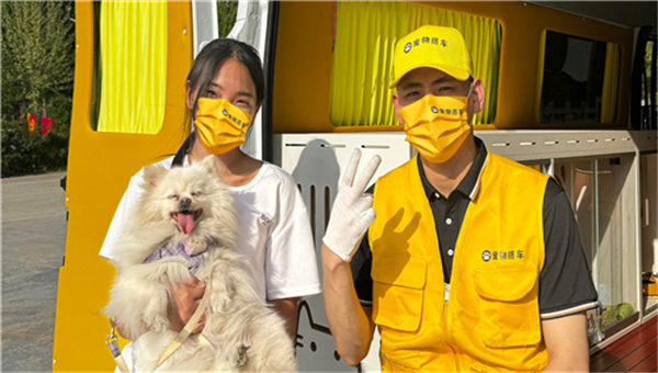 宠物搭车