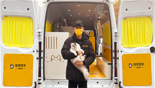宠物搭车
