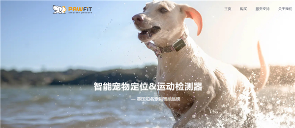 Pawfit