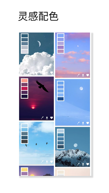 观色配色软件安卓版