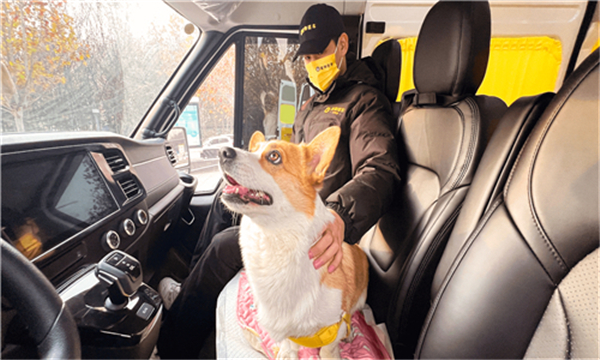 宠物搭车