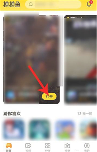 摸摸鱼2025