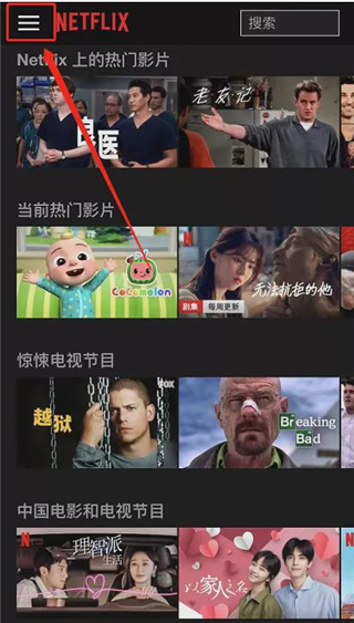 网飞app