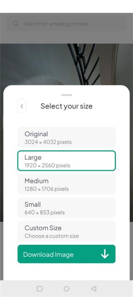 pexels视频素材app