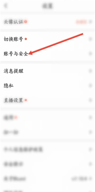 布鲁帝交友软件