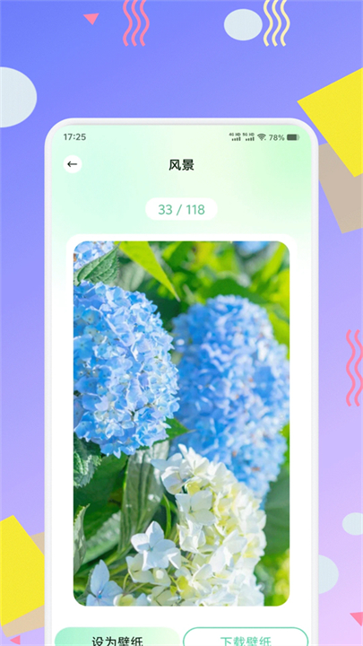 荷花壁纸超清手机版