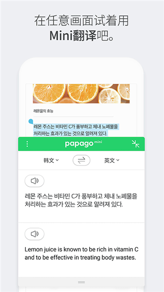 papago中韩翻译