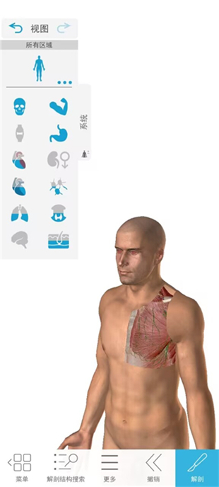 atlas人体解剖