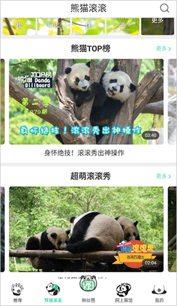 熊猫频道