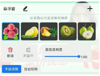 EV直播助手手机版