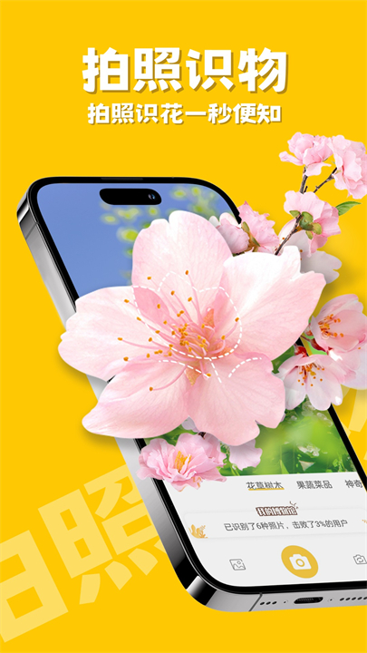 随手拍照识物软件安卓版