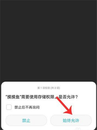 摸摸鱼2025