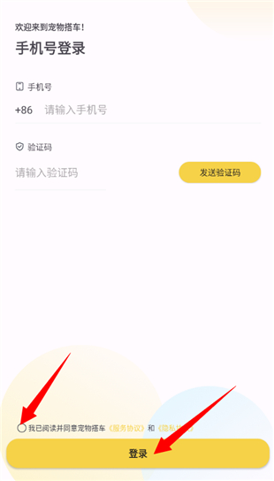 宠物搭车