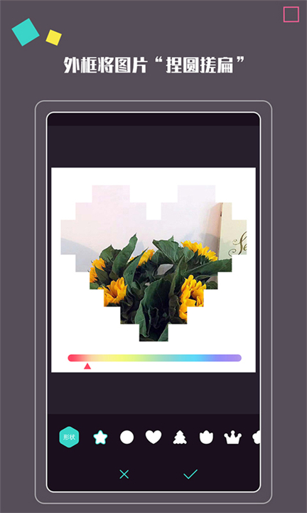 拍照大咖安卓版