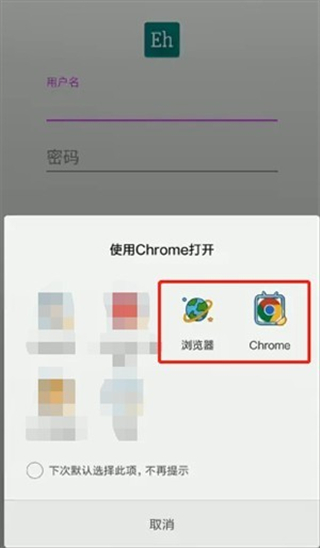 ehvierwer绿色版
