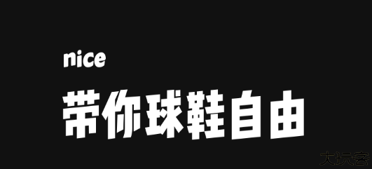 nice球鞋