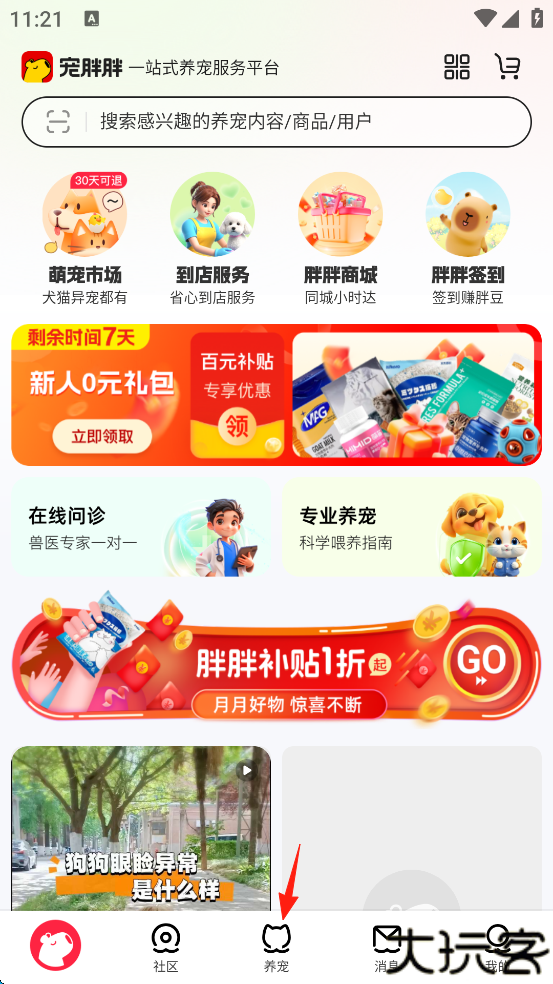宠胖胖软件