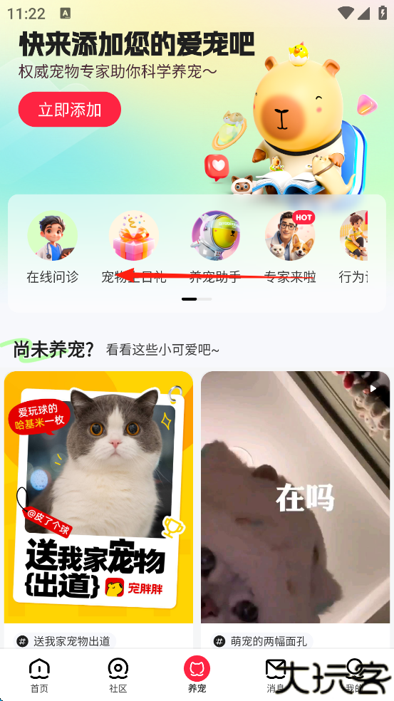 宠胖胖软件