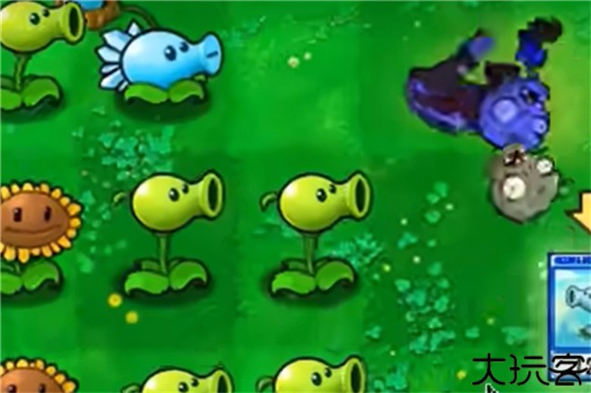 植物大战僵尸抽卡版