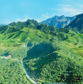 生态护林员巡护app