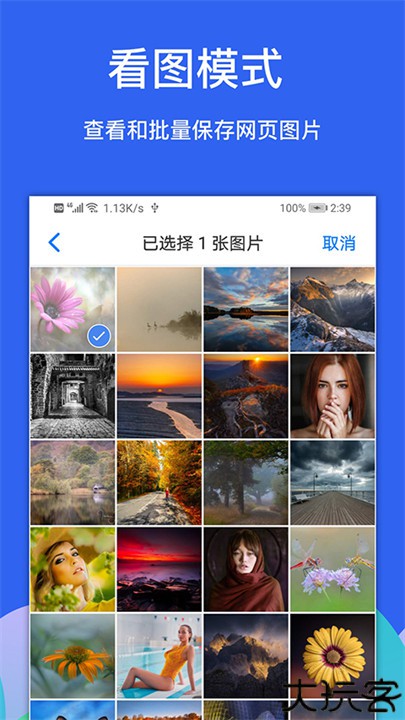 alook浏览器app
