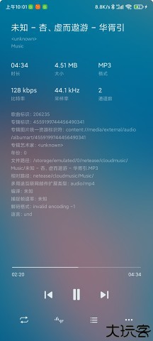 Salt Player播放器