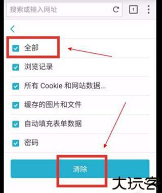 puffin浏览器无法连接怎么办2