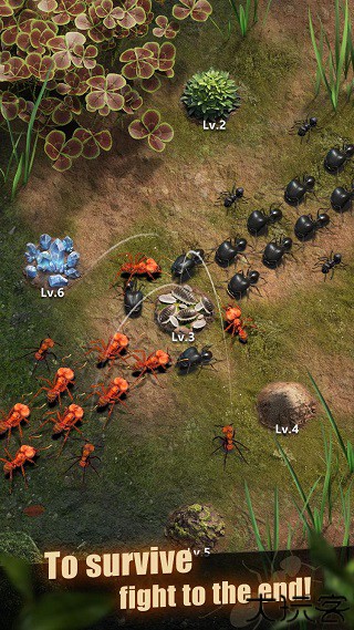 蚂蚁地下王国中文