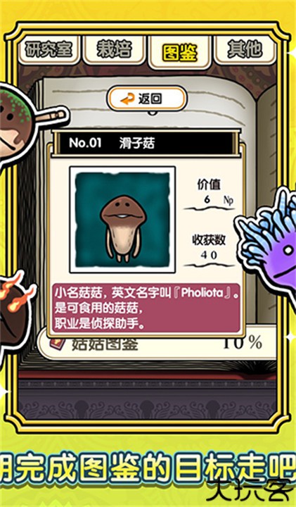 蘑菇花园安卓汉化版