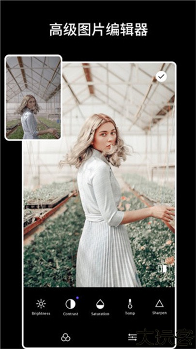 Koloro滤镜君中文