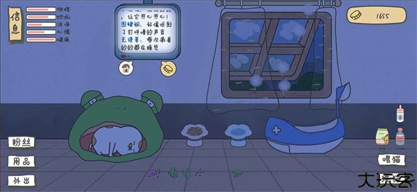 主播和猫的故事猫生病