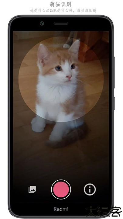 SketchMaster手机版