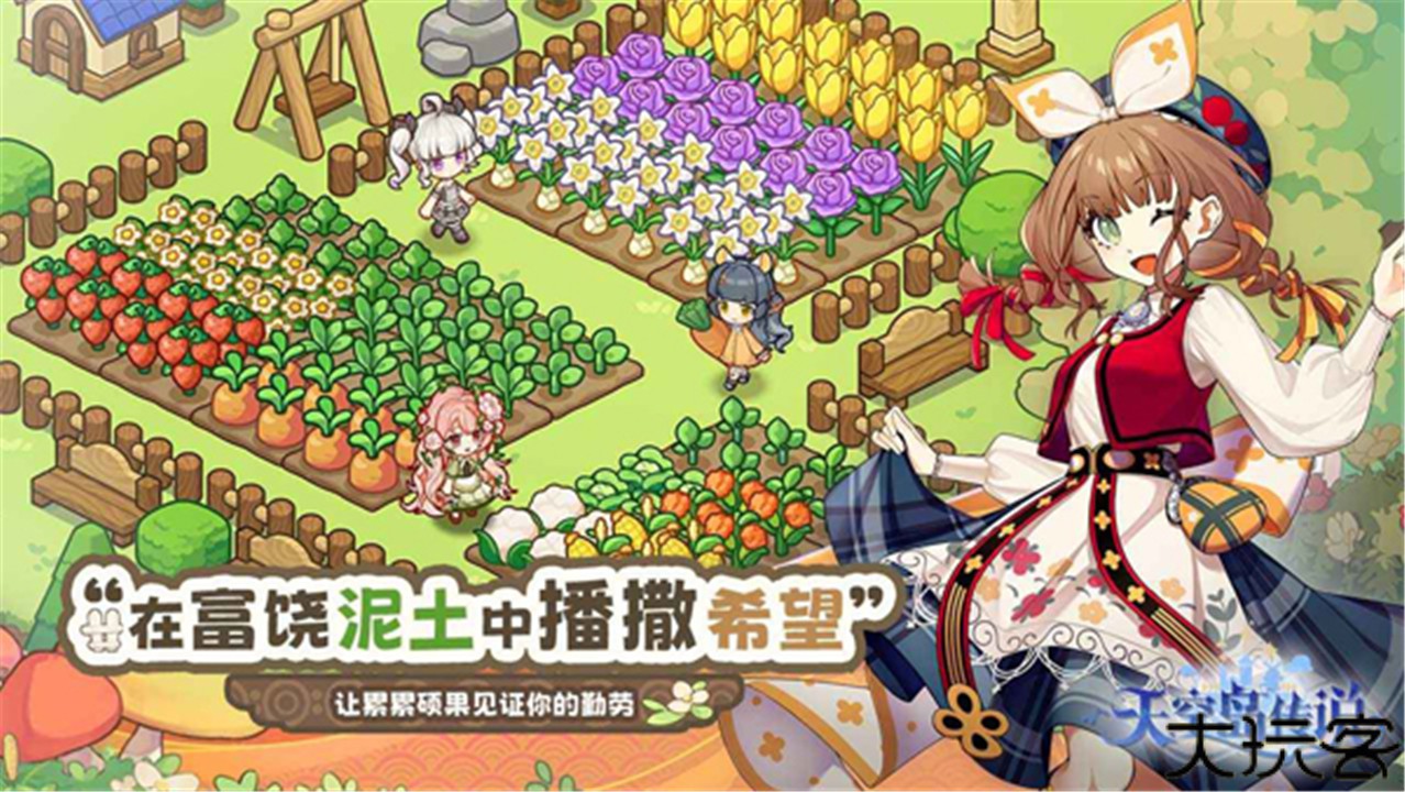 天空岛传说联机版