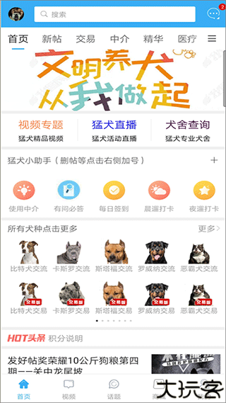 猛犬俱乐部论坛