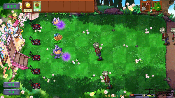 植物大战僵尸共生版