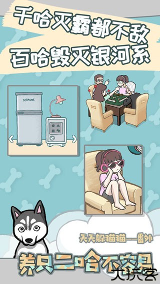 养只二哈不容易安卓版