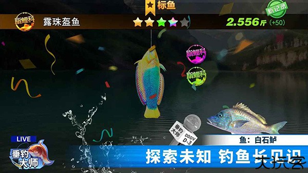 垂钓大师手机版