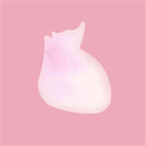 life生命模拟器安卓中文版