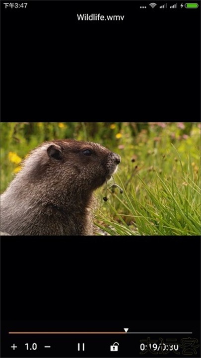 金沐文件助手app安卓版